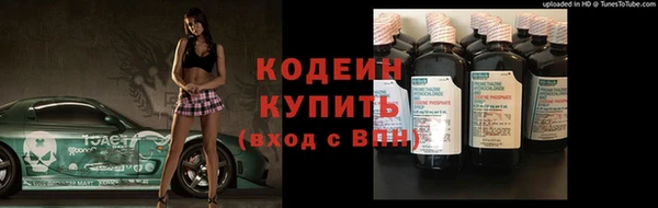 прущие грибы Покров