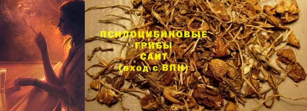 spice Алексин