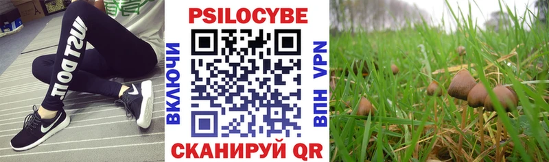 Псилоцибиновые грибы Psilocybe Балахна